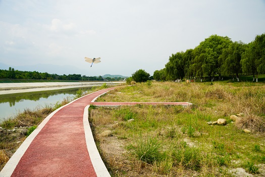 蜻蜓步道